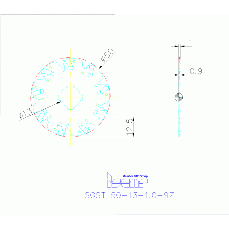 SGST 50-13-1.0-9Z