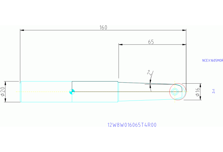 12W8U016065T4R00