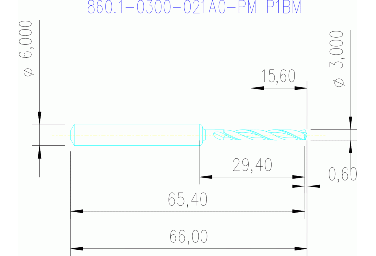 860.1-0300-021A0-PM P1BM