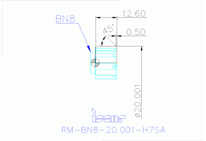 RM-BN8-20.001-H7SA IC08