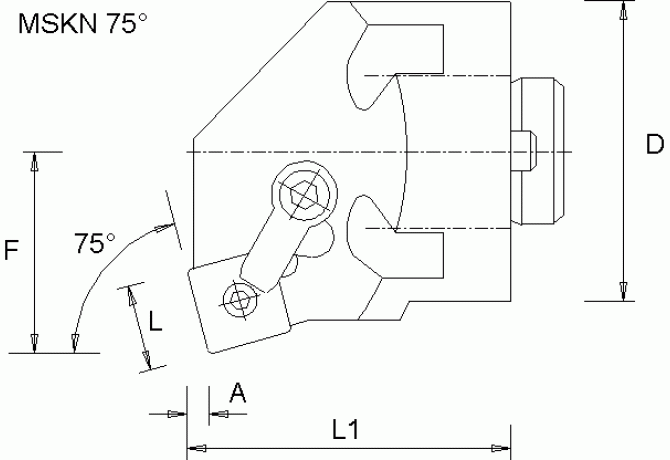 H60MSKNR19