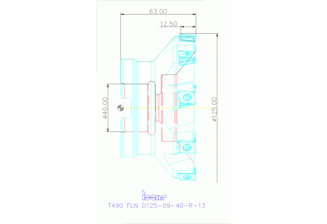 T490 FLN D125-09-40-R-13