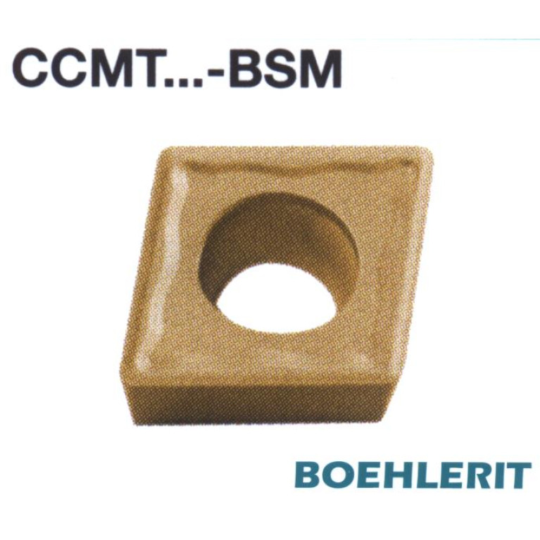 CCMT09T304-BSM LC610H