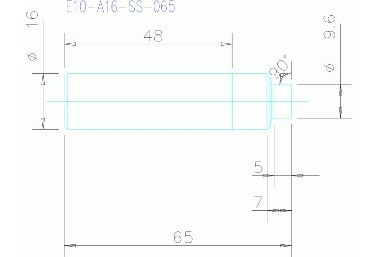 E10-A16-SS-065