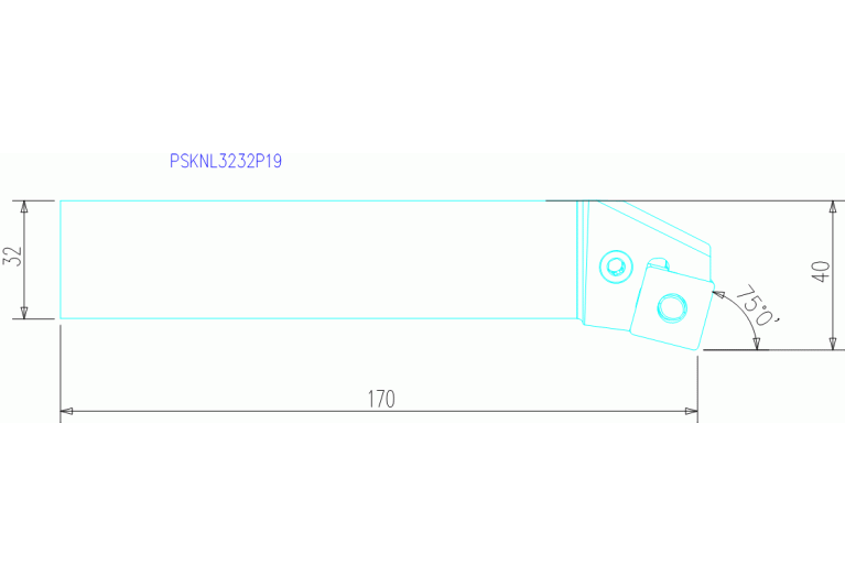 PSKNL3232P19