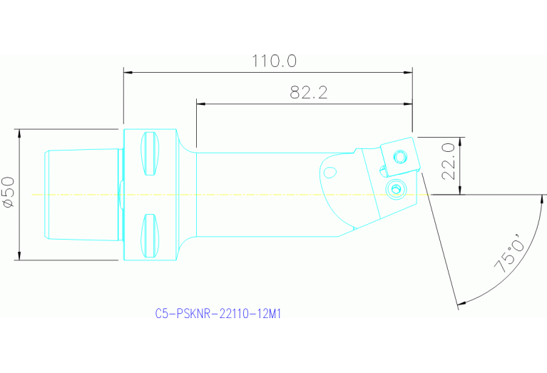 C5-PSKNR-22110-12M1