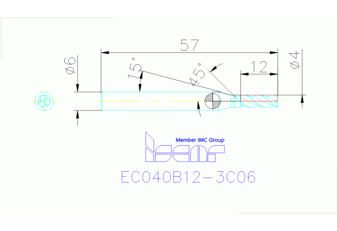EC040B12-3C06 IC300