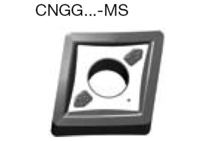 CNGG120408-MS LC405Z