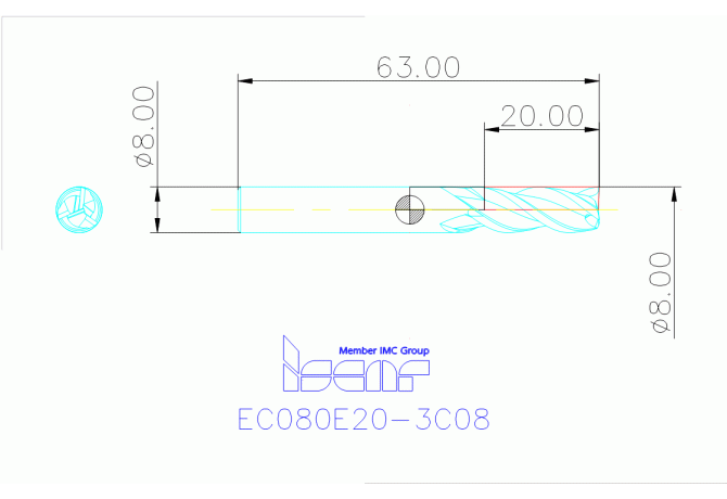 EC080E20-3C08 IC300