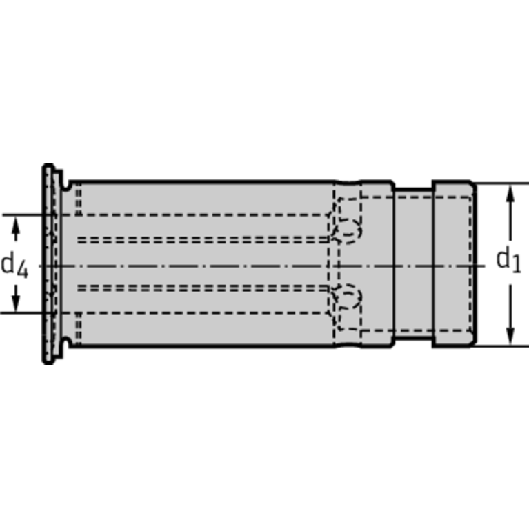 FS2205