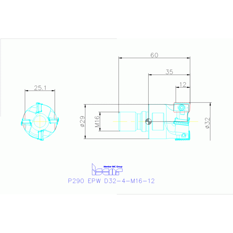 P290 EPW D32-4-M16-12