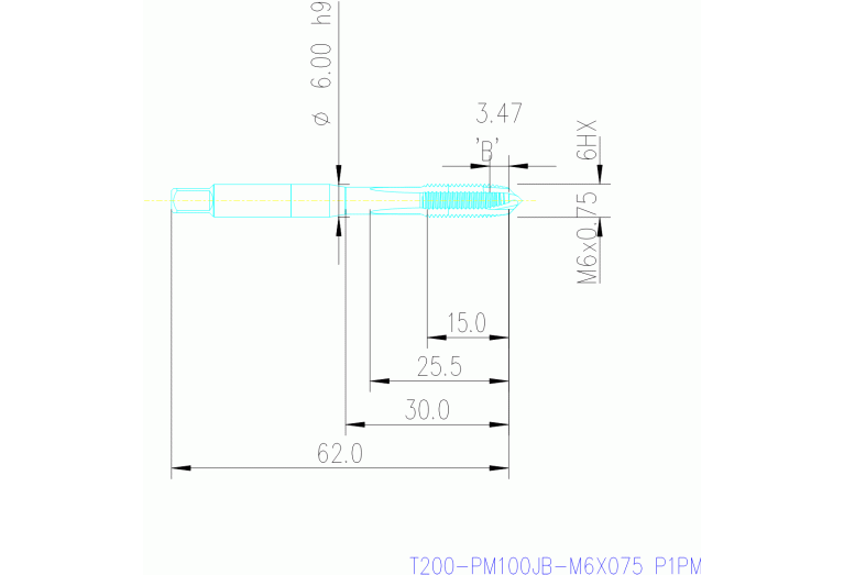 T200-PM100JB-M6X075 P1PM