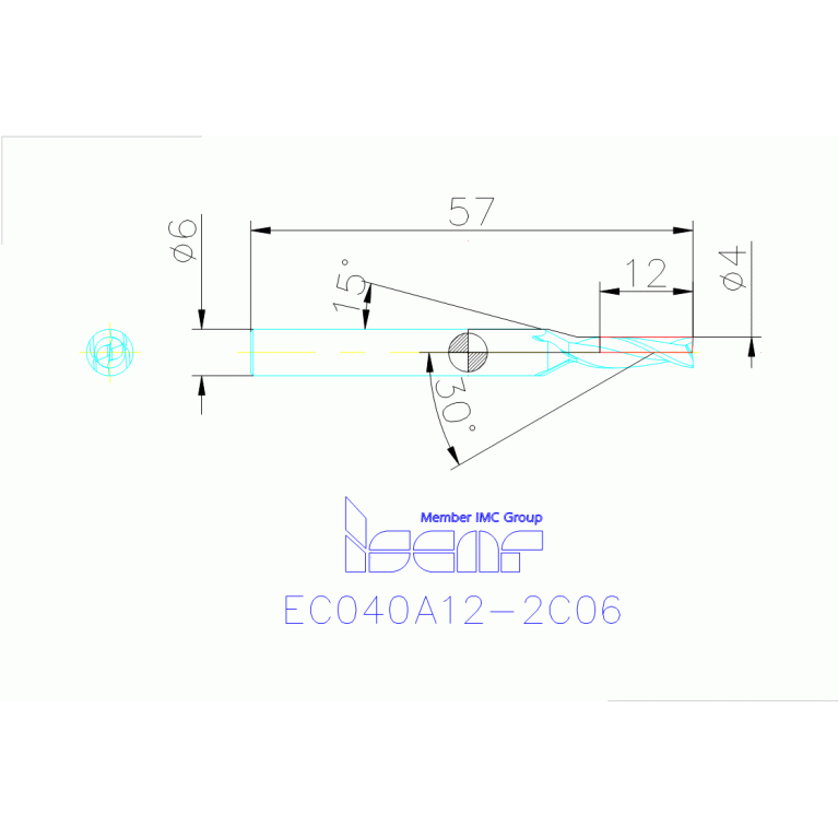 EC040A12-2C06 IC300