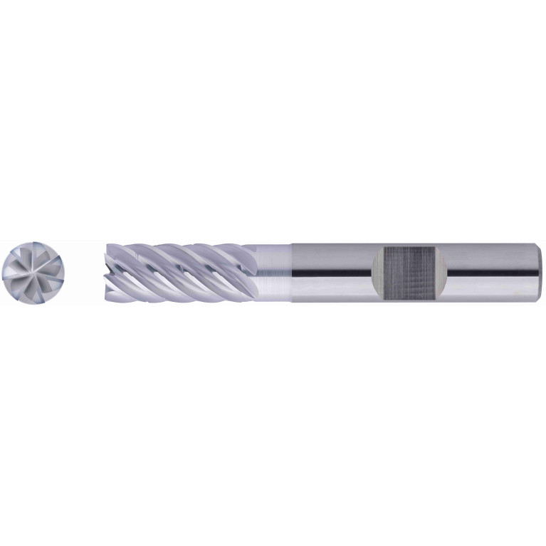 EXPK1-M03-0204-6