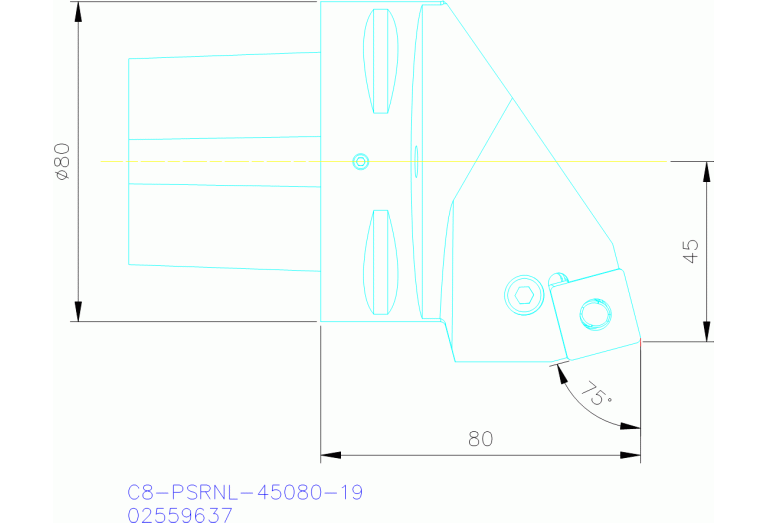 C8-PSRNL-45080-19