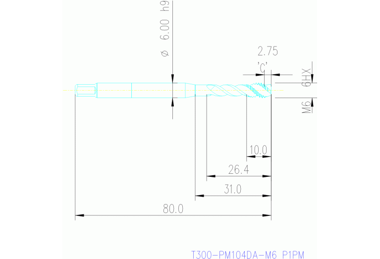 T300-PM104DA-M6 P1PM