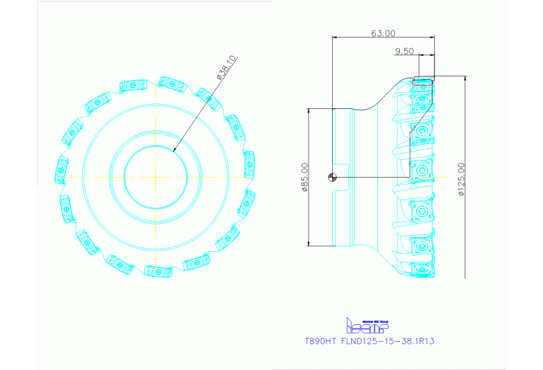 T890HT FLND125-15-38.1R13