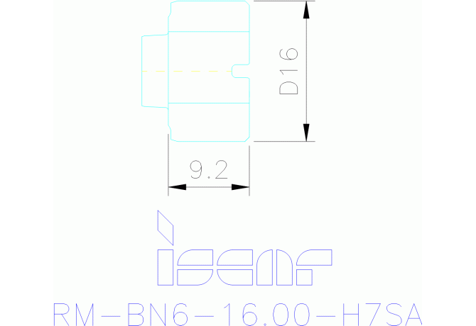 RM-BN6-16.000-H7SA IC08