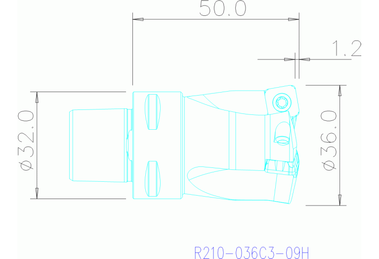 R210-036C3-09H