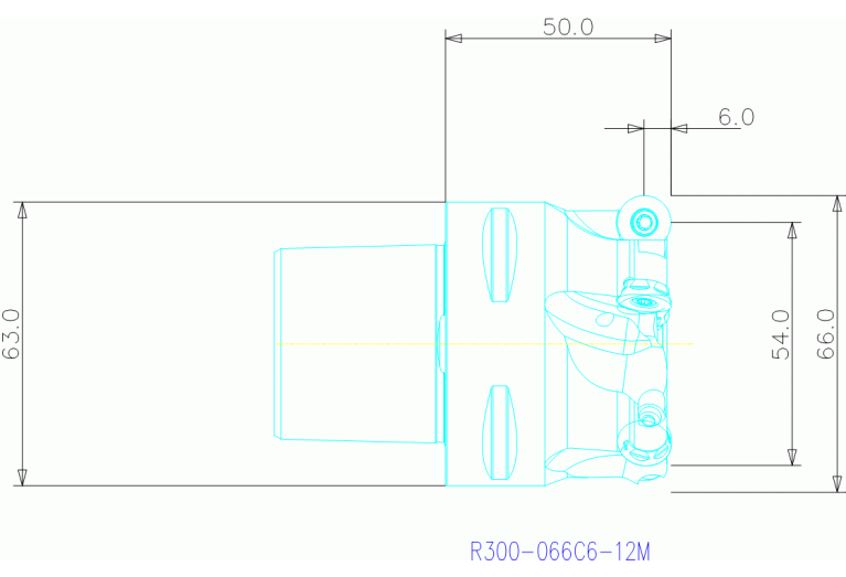 R300-066C6-12M