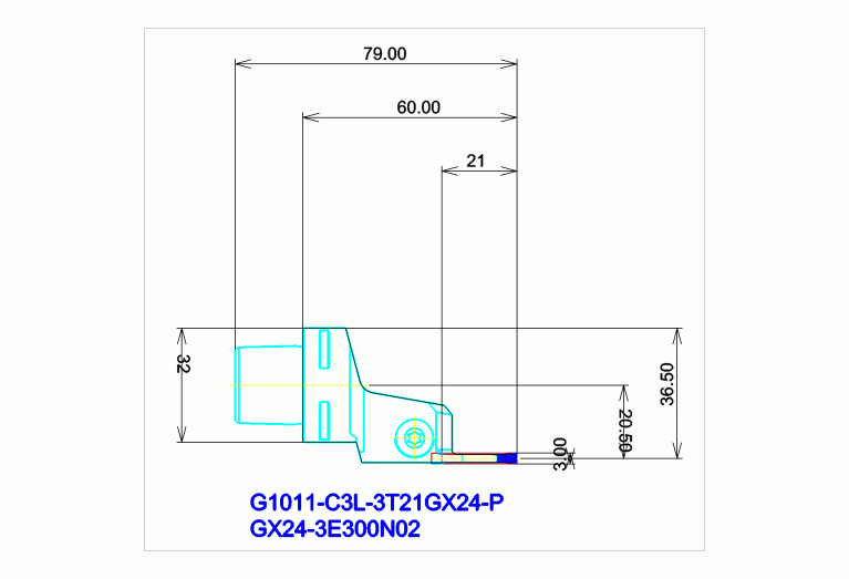 G1011-C3L-3T21GX24-P