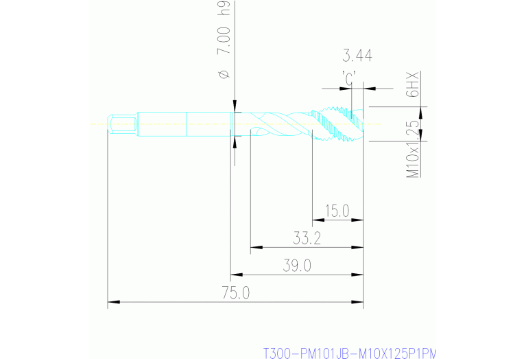 T300-PM101JB-M10X125P1PM