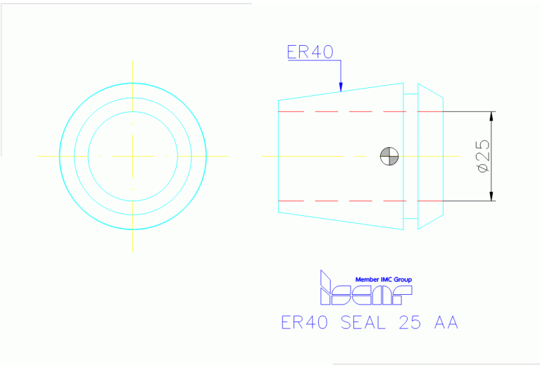 ER40 SEAL 25 AA