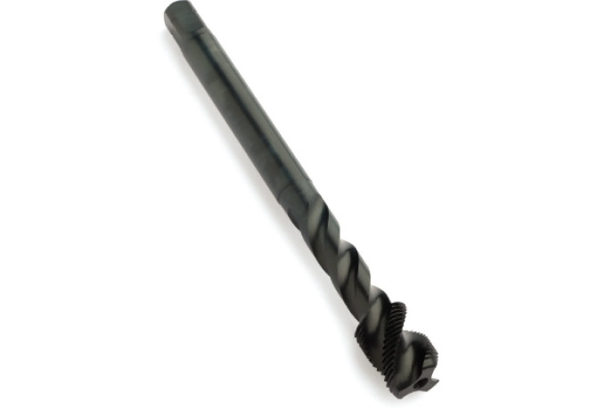 EX11M6X.75