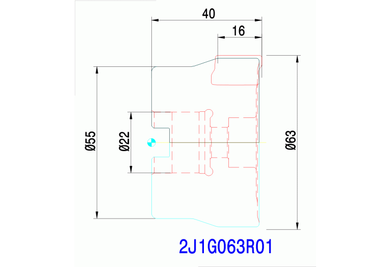 2J1G063R01