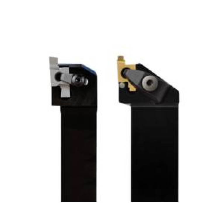 CEL1006-10Q