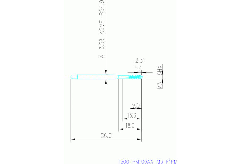 T200-PM100AA-M3 P1PM