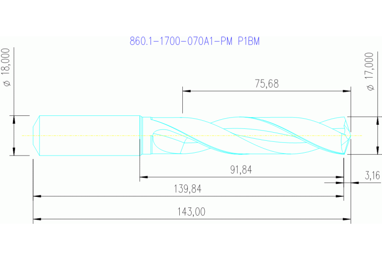 860.1-1700-070A1-PM P1BM