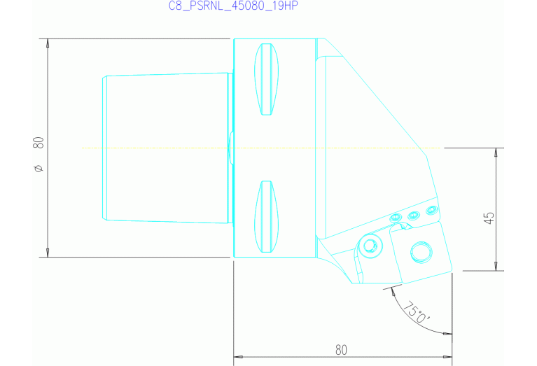 C8-PSRNL-45080-19HP