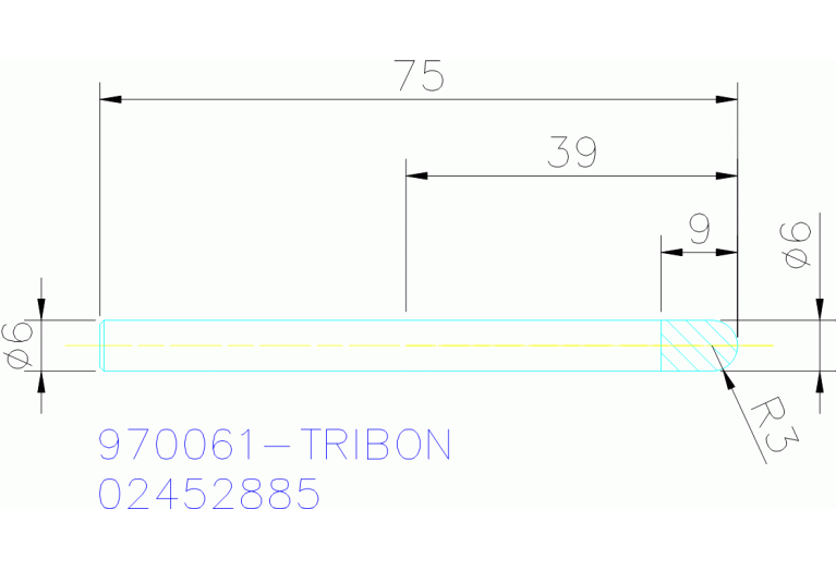 970061-TRIBON