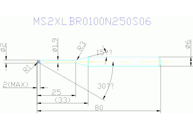 MS2XLBR0100N250S06