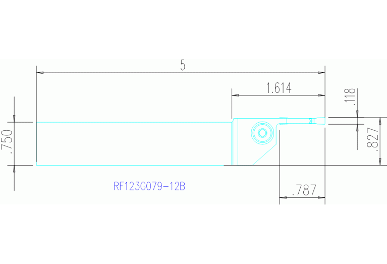 RF123G079-12B