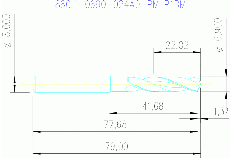 860.1-0690-024A0-PM P1BM