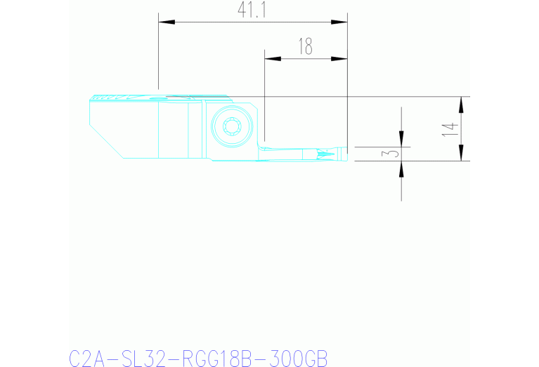 C2A-SL32-RGG18B-300GB