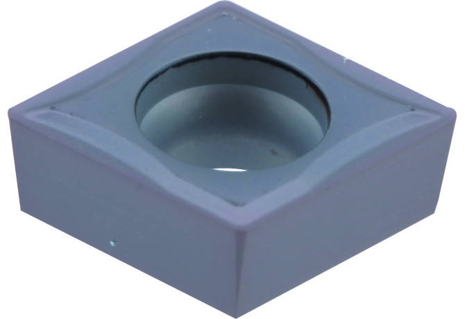 CCGT060204-VP1 PC5300