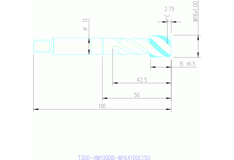 T300-XM100DB-M16X100C150