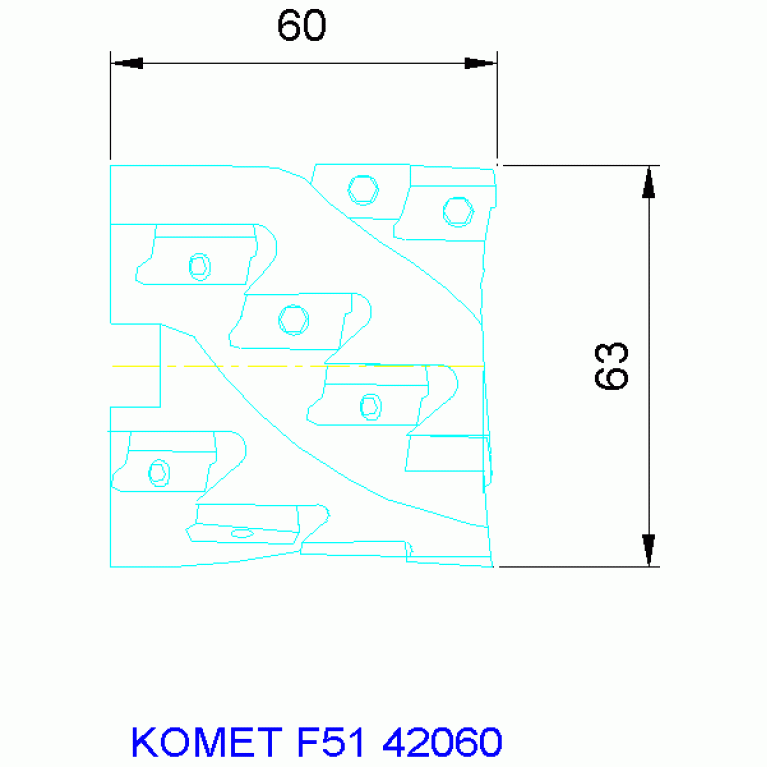 F51 42060