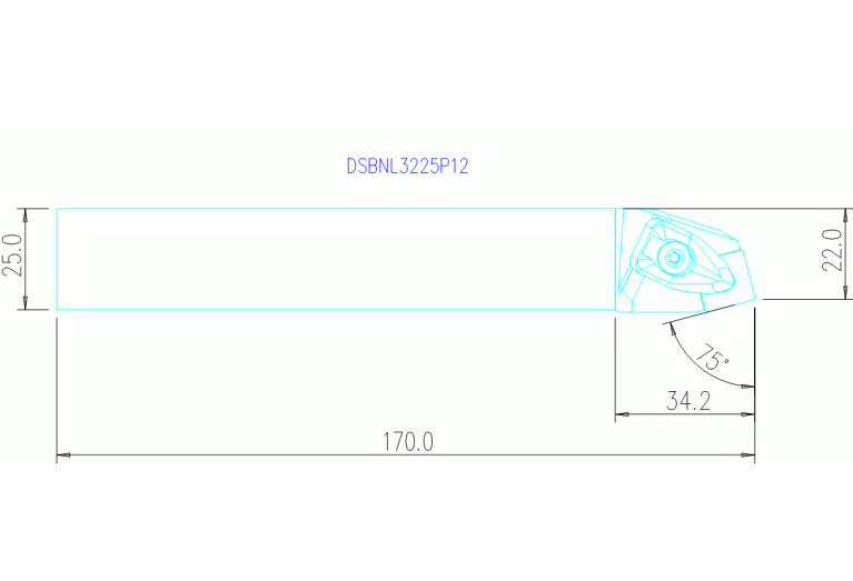 DSBNL3225P12