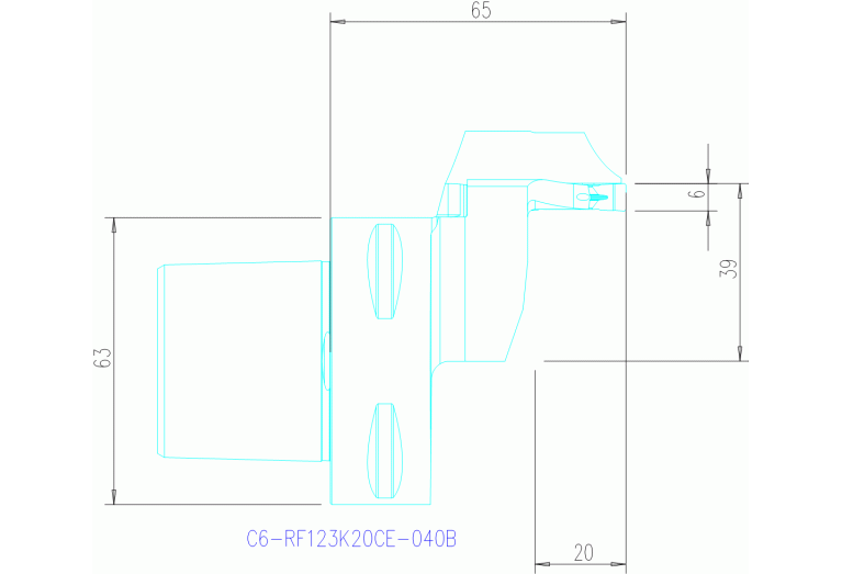 C6-RF123K20CE-040B