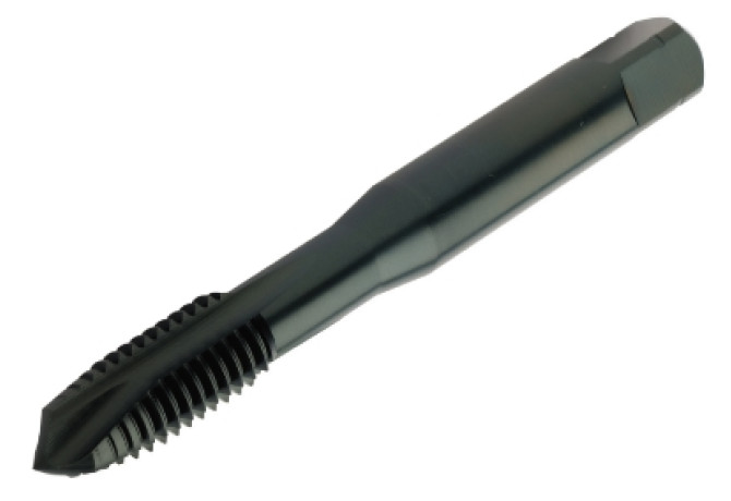 E006M12
