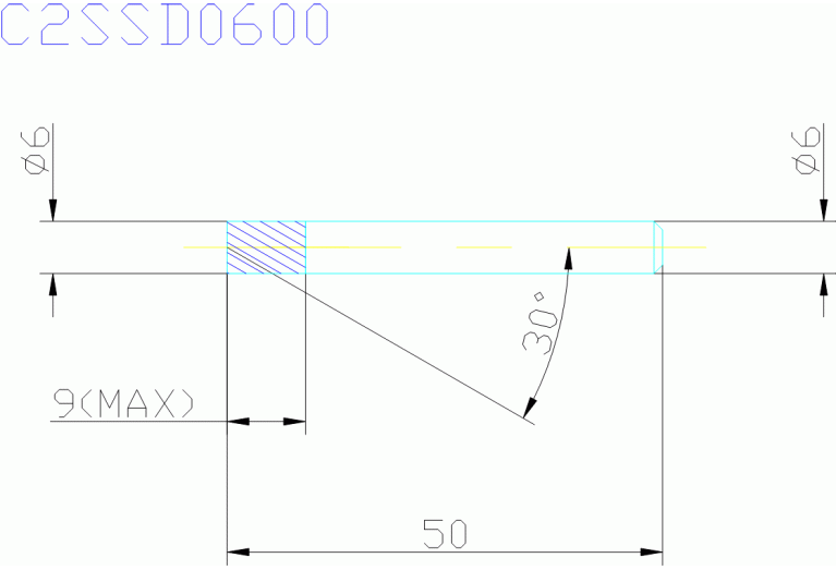 C2SSD0600