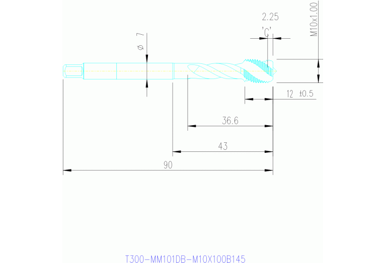 T300-MM101DB-M10X100B145