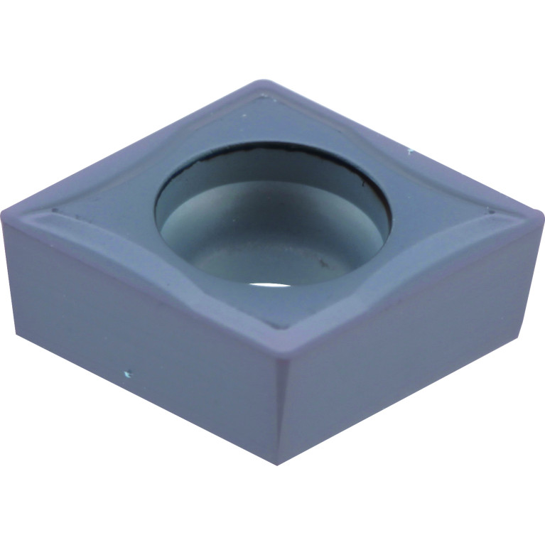 CCGT060202-VP1 PC5300