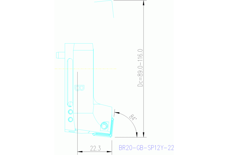 BR20-GB-SP12Y-22
