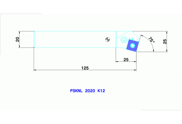 PSKNL 2020 K12