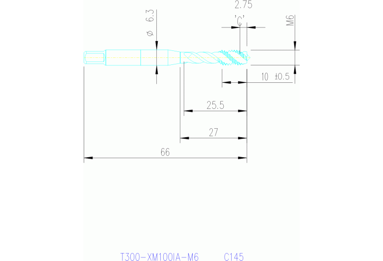 T300-XM100IA-M6 C145